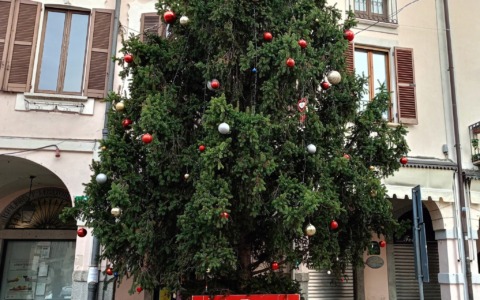 Posizionato  l’albero di Natale in piazza Marconi