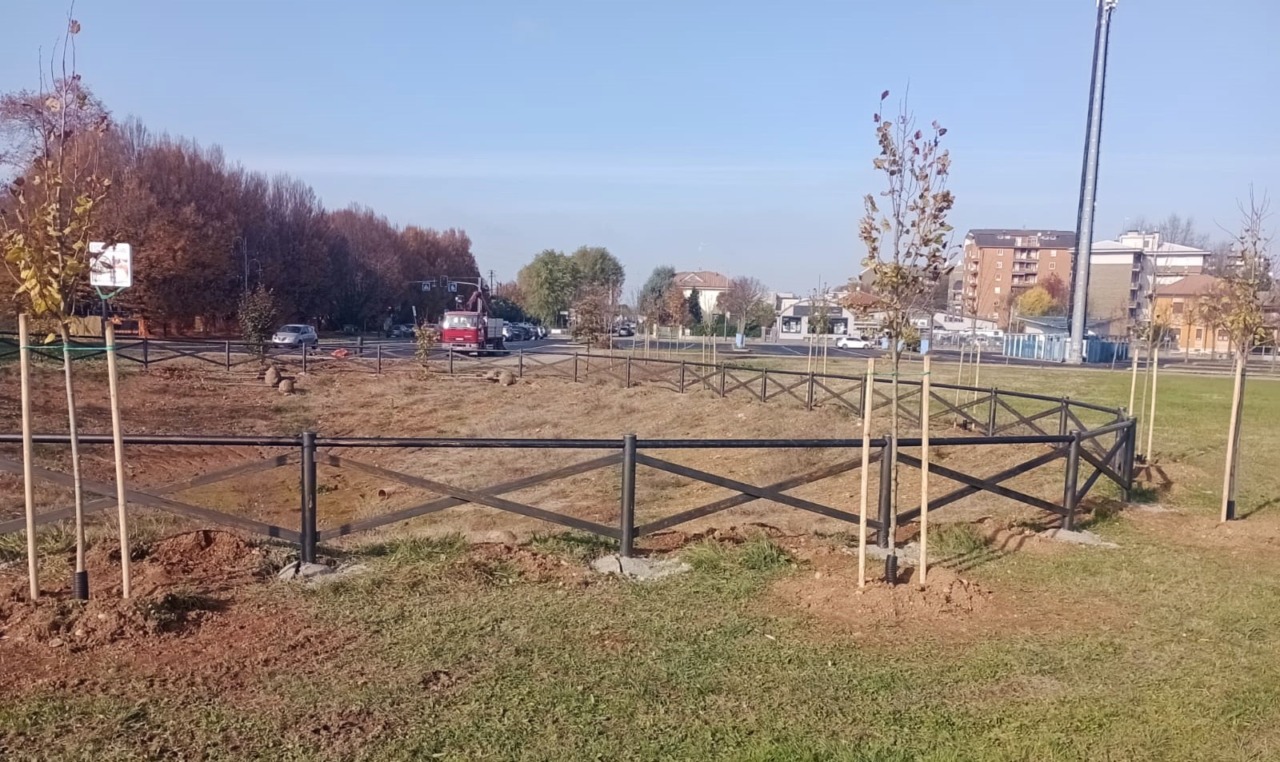 Un laghetto nuovo sulla Varesina