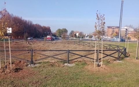 Un laghetto nuovo sulla Varesina