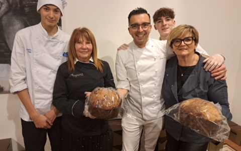 Pienone a Palazzo Leone da Perego per Arte Panettone