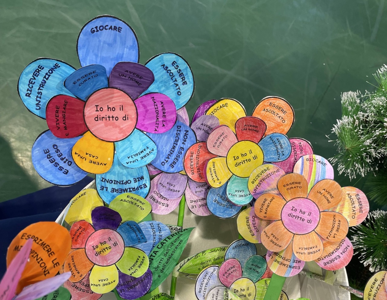 A scuola con il Christmas Jumper Day e il fiore dei diritti