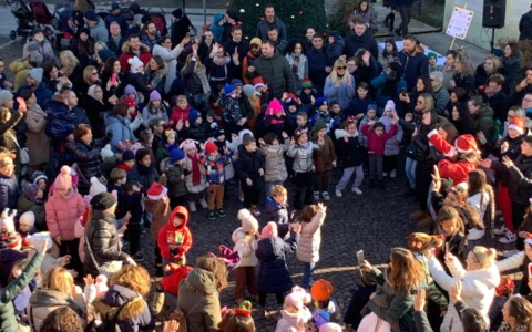 Un successo la 28esima «Isola della solidarietà»