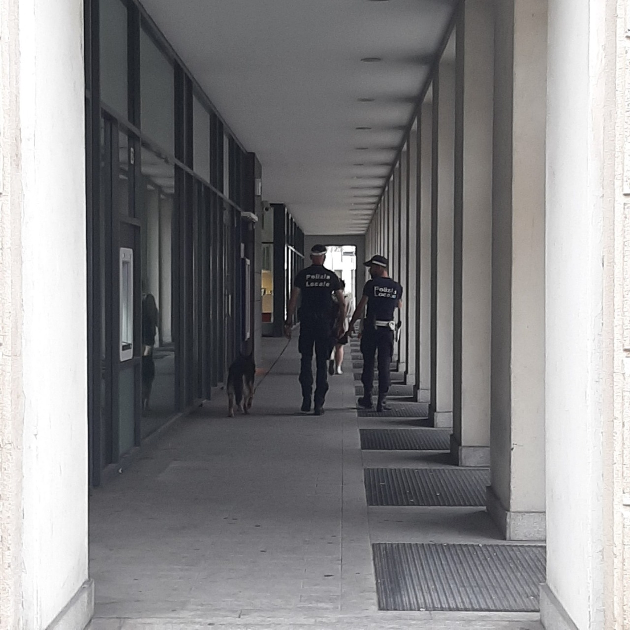 Controllo del territorio: arriva anche il nucleo cinofilo