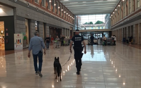 Controllo del territorio: arriva anche il nucleo cinofilo