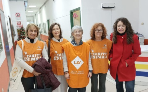 La Lav al Liceo Fontana per il progetto “Sana alimentazione”