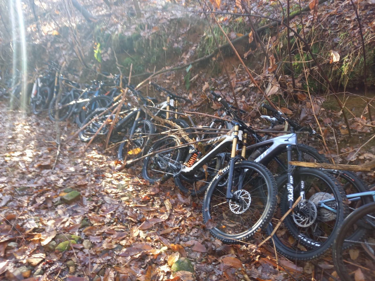 Nei boschi oltre 70mila euro di biciclette rubate a Lainate