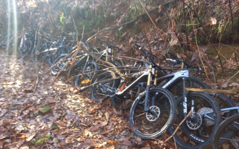 Nei boschi oltre 70mila euro di biciclette rubate a Lainate