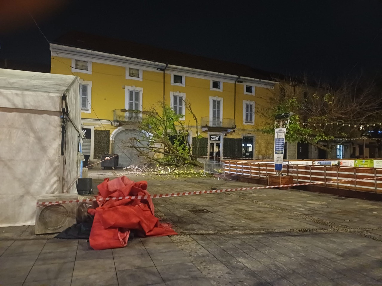 Albero abbattuto da un mezzo dell'igiene urbana