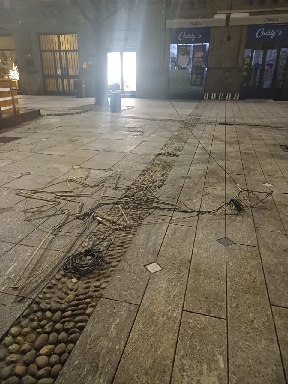 Albero abbattuto da un mezzo dell'igiene urbana