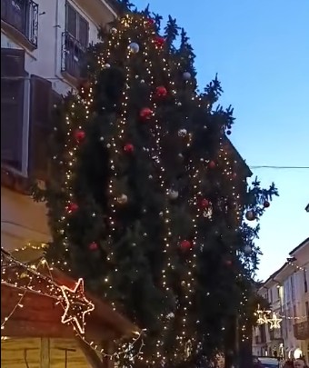 abbiategrasso-alberoacceso2025
