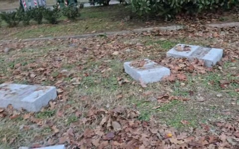 Lapidi a terra tra plastica e cartacce: “Il Cimitero Parco è una vergogna”