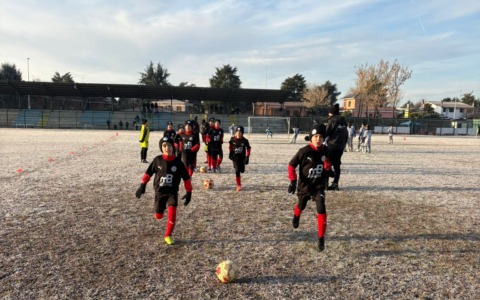 I pulcini del Calcio Canegrate trionfano alla Coppa San Siro