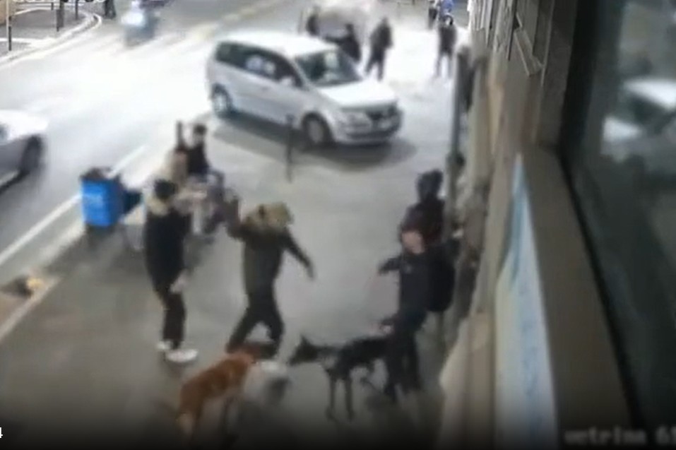 Rapina con catena, coltello e un grosso cane: arrestati due 30enni