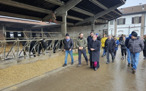 Monsignor Delpini nelle stalle per le benedizioni degli animali