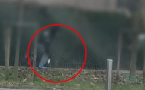 Nascondeva la cocaina sotto le foglie del parco: arrestato spacciatore