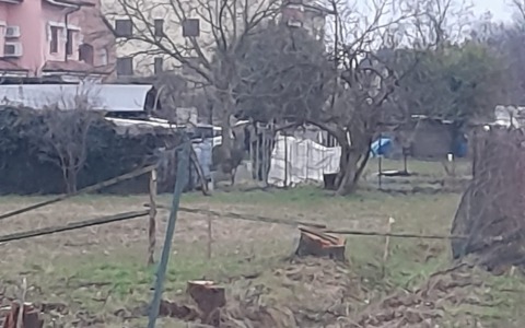 Tragedia a Vanzago, muore travolto da macchinario