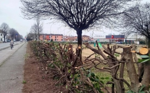 Partito il nuovo sistema di gestione del verde