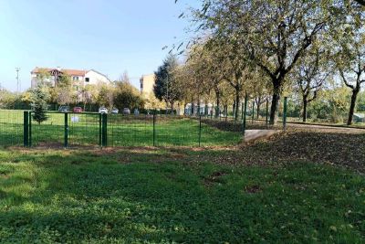 La Giunta Orlandi stanzia 99mila euro per sistemare  e realizzare nuove aree cani