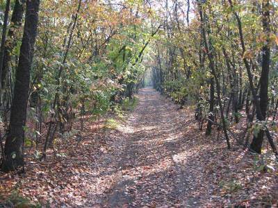 Una serata dedicata alla presentazione del Parco delle Roggie