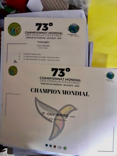 gaggiano-mauro calvi2026-1