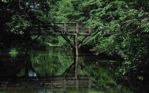 Lavori forestali alla riserva Fagiana
