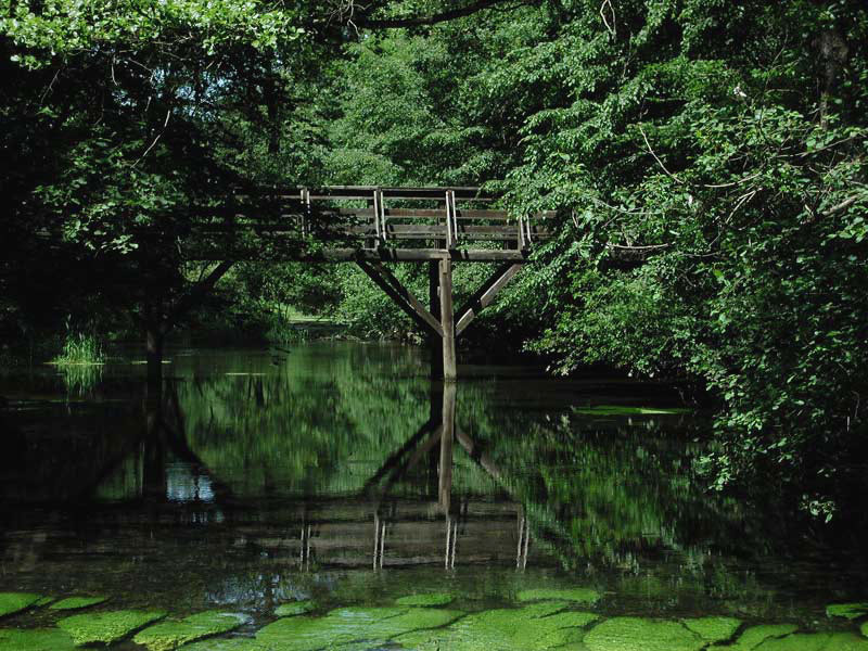 Lavori forestali alla riserva Fagiana