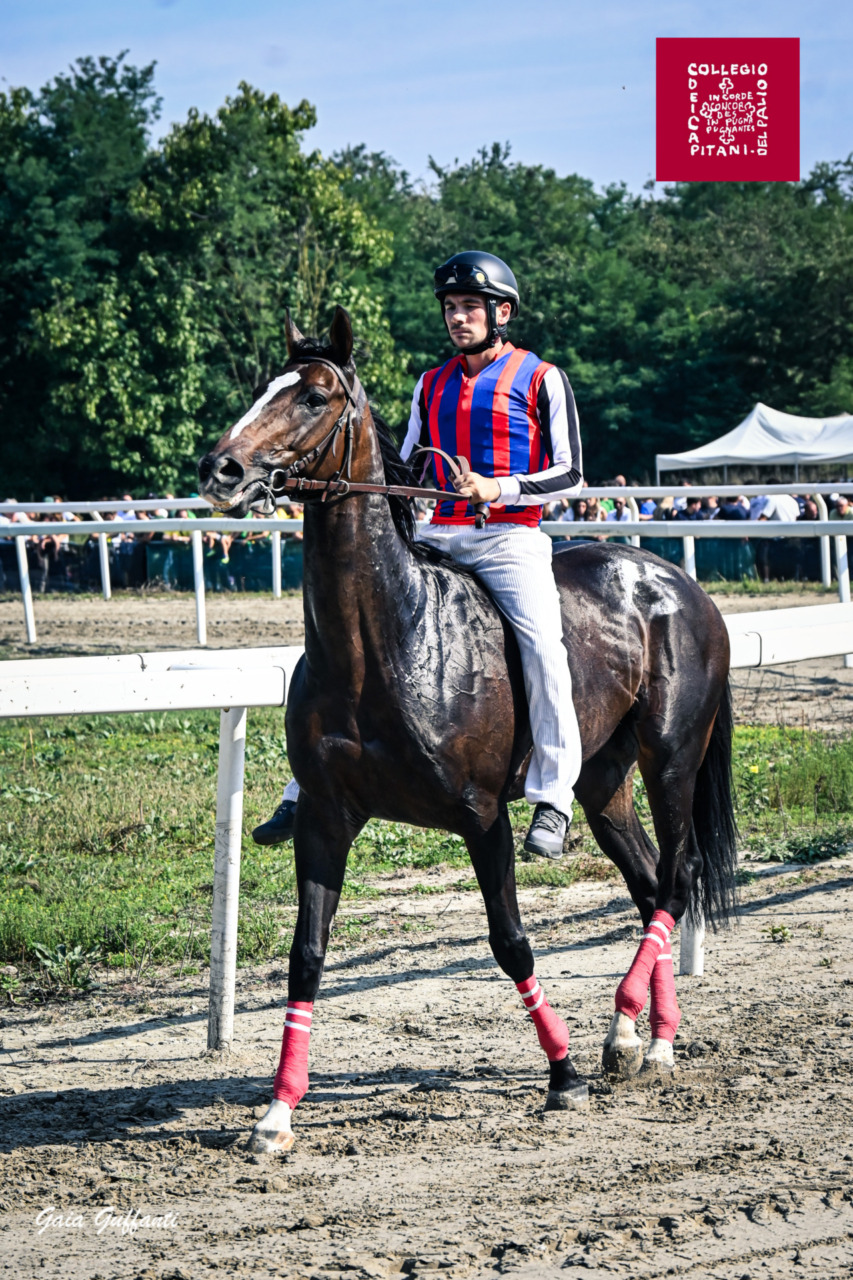 Memorial Favari: ecco chi sarà il fantino della contrada San Magno