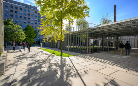 Girls@Polimi, finanziate 35 borse di studio per future studentesse STEM