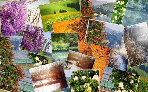 Tutto pronto per la mostra “I colori della vita”