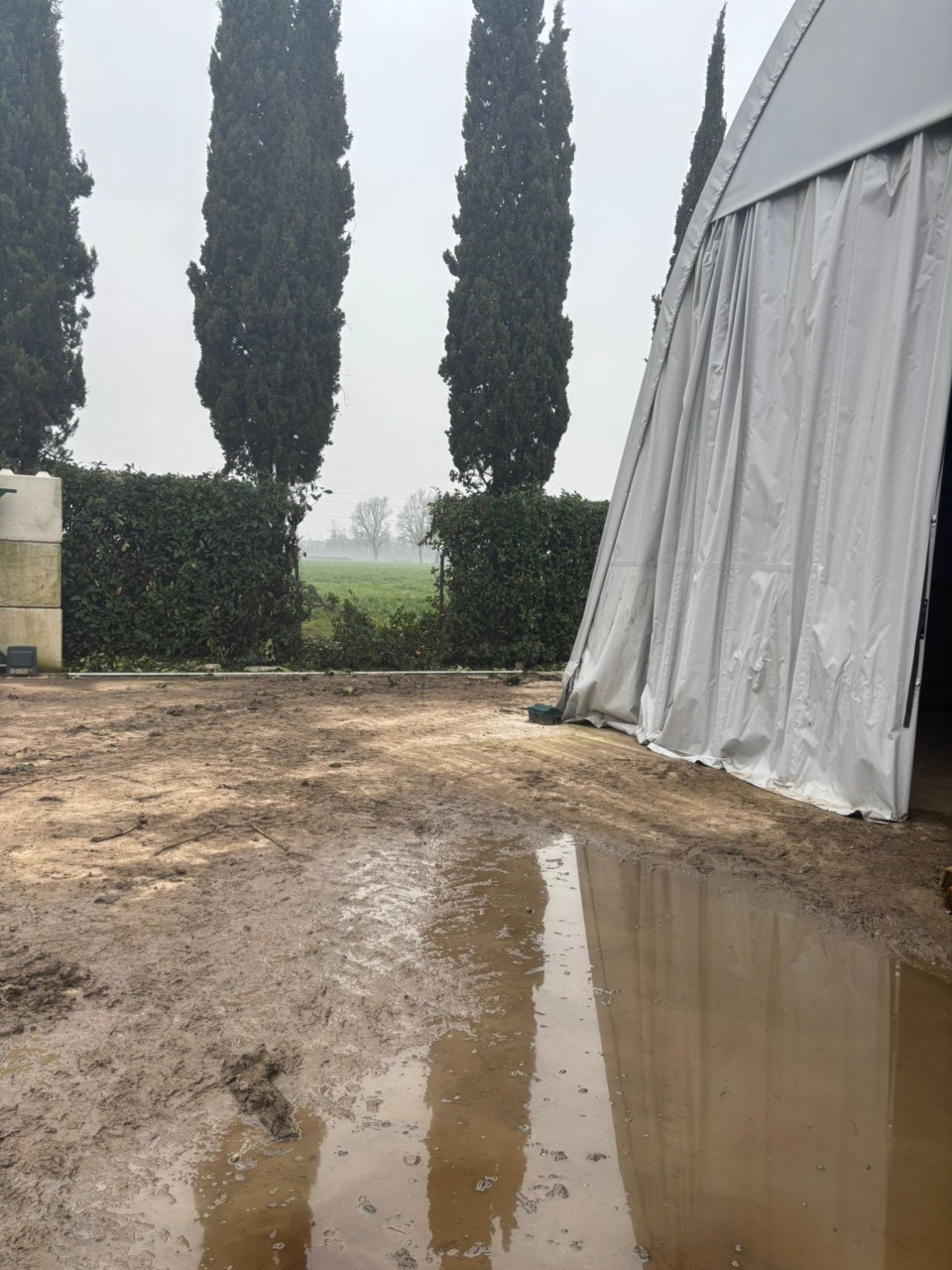 Rubano un trattore e fuggono sul canale