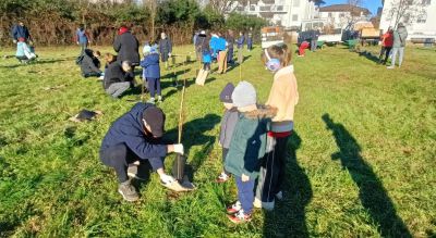Forestami: nuovi alberi  in arrivo via Deledda