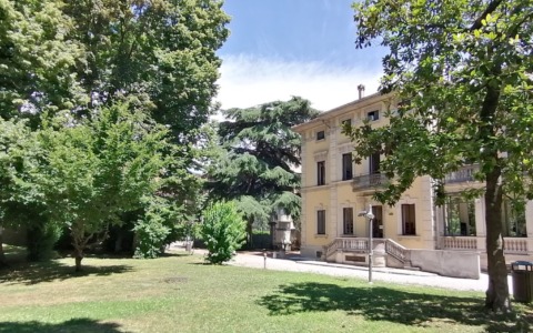 “Controlli sulla stabilità delle piante prima dell’inaugurazione della biblioteca”