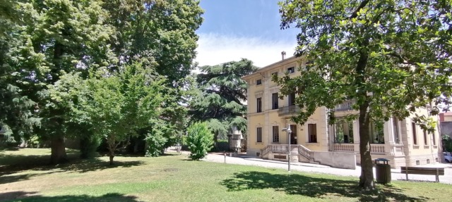 “Controlli sulla stabilità delle piante prima dell’inaugurazione della biblioteca”