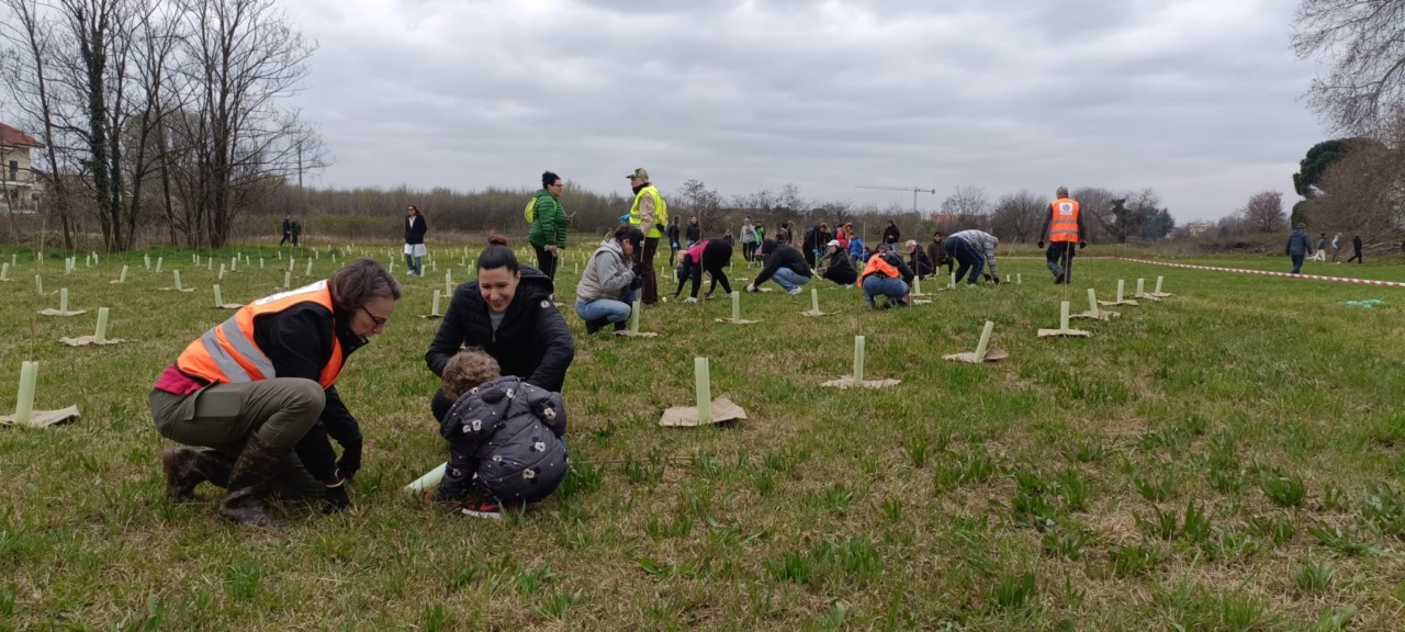 Un nuovo bosco con 2400 piante a Bareggio grazie a Forestami