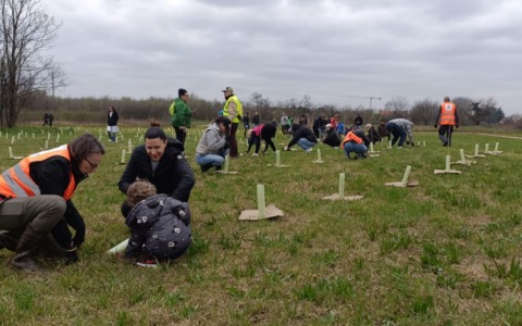 Un nuovo bosco con 2400 piante a Bareggio grazie a Forestami