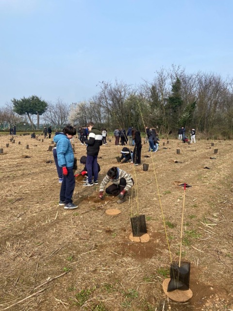 Messe a dimora 400 nuove piante grazie anche ai ragazzi