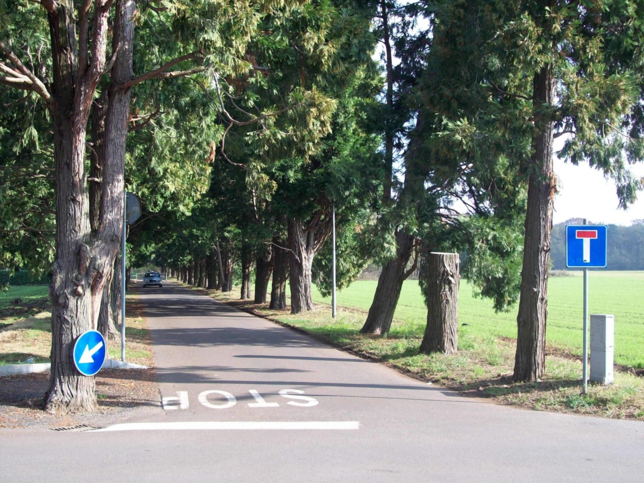 Furti nei cimiteri: “Ora la Giunta comunale metta le telecamere”