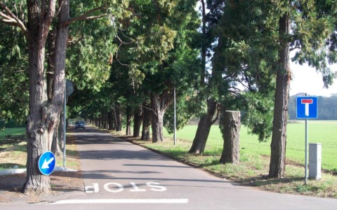 Furti nei cimiteri: “Ora la Giunta comunale metta le telecamere”