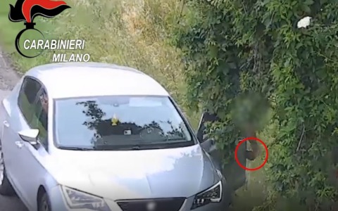 Spacciavano oltre 20mila dosi di droga, due arresti