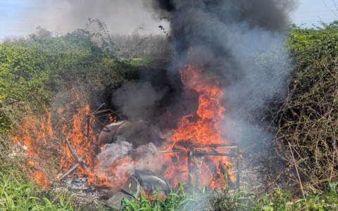 Incendio in un’area boschiva: intervengono i Vigili del fuoco