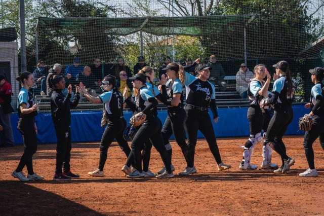 Serie A1 di softball: nel weekend di Pasqua torna in campo anche Bollate