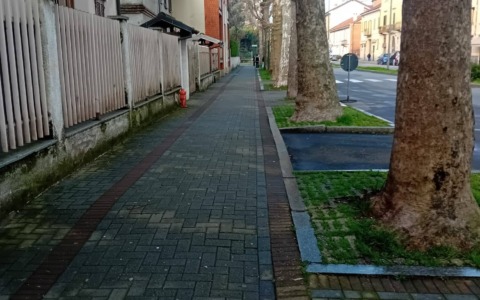 Decoro urbano: intervento straordinario di pulizia in viale Mazzini
