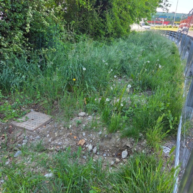 cusago-ciclabilesp114-1