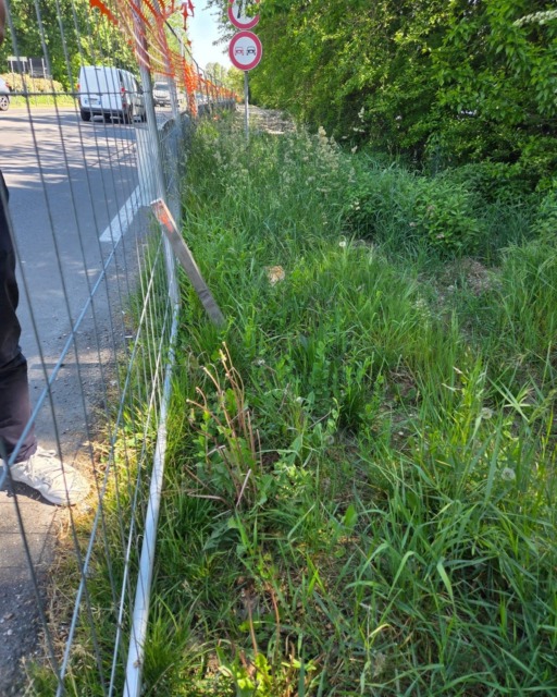 cusago-ciclabilesp114