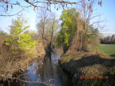 Trovato senza vita nel parco del plis tra via Molino e via Mattei