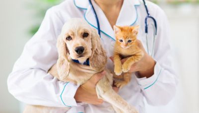 Marilena Ciceri  nuova direttrice del Distretto Veterinario