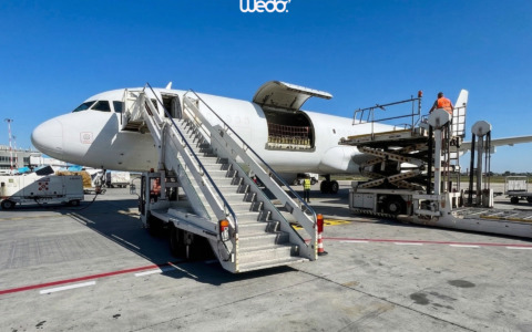 Quando la deadline non si sposta: WeDo. e il time critical “su misura” tra moda, eventi e progetti ad alta pressione