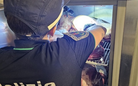Cibo scaduto a terra, insetti morti e rifiuti non rimossi: maxi multa per un ristorante