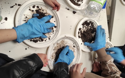 Alunni a scuola di natura, successo per il progetto “Api e biodiversità”