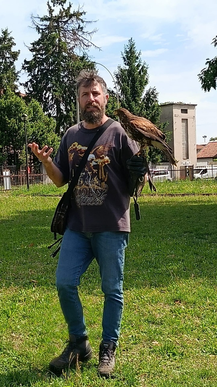 Due falchi e un'aquila... in classe